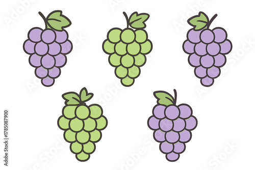Assortment of cute green and purple grape bunches with leaves