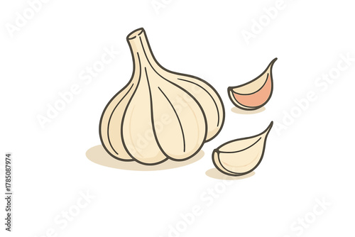 Whole garlic bulb and separated cloves on clean white background
