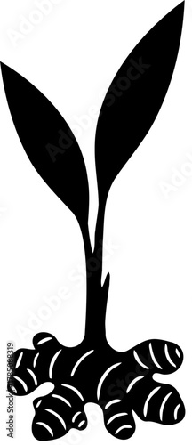 Ginger Root and Leaf Plant Black Silhouette