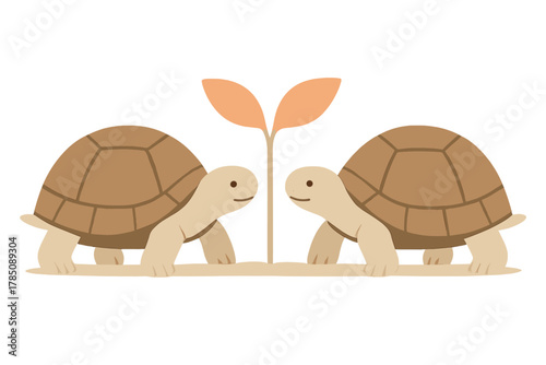 Two friendly tortoises observing a small growing plant sprout