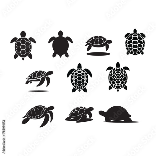 turtles and tortoisses silhouettes