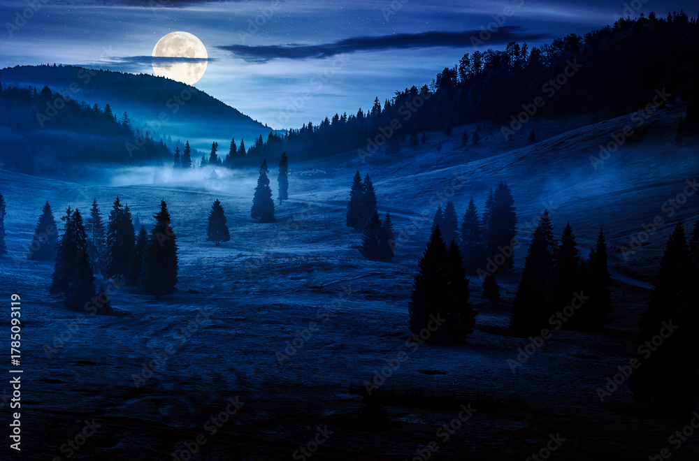 Fototapeta premium spruce forest on mountain hill side in fog at night. wonderful nature landscape in autumn in full moon light. background for investment or abstract concepts
