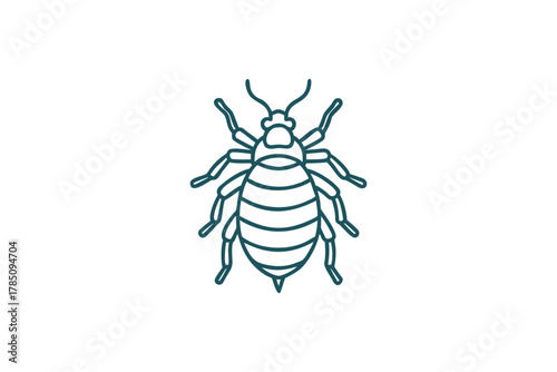 Teal Bed Bug Outline Icon for Pest Control Insect Infestation Concepts and Home Hygiene