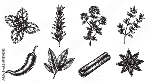 Hand-drawn black and white illustrations of various herbs and spices including basil, rosemary, thyme, chili pepper, bay leaves, cinnamon stick, and star anise.