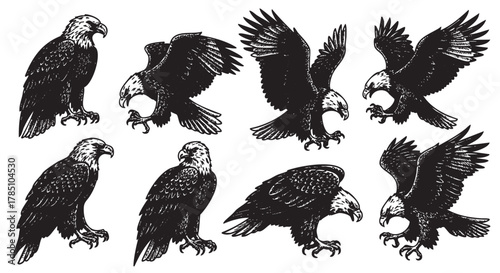 Black outline drawings of eight eagles in various poses, showcasing their majestic wings and fierce expressions.