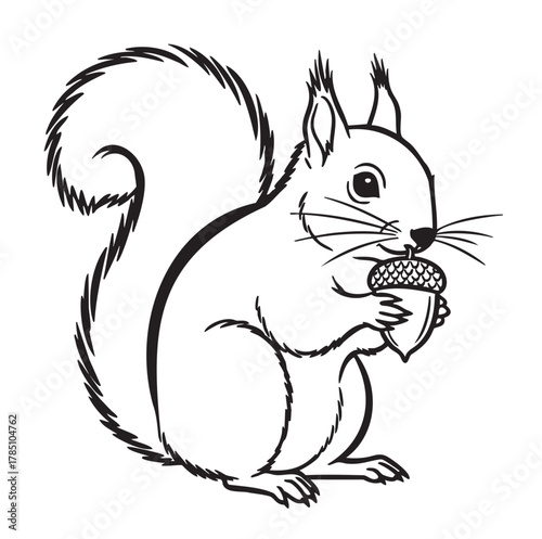 Black and white outline illustration of a squirrel holding an acorn with bushy tail and detailed features.