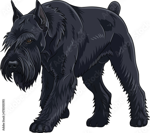 Giant Schnauzer dog standing alert focused vector illustration