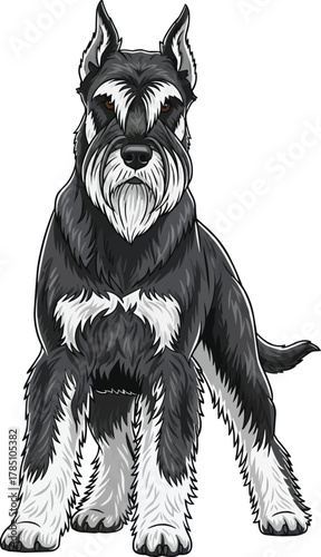 Giant Schnauzer dog standing alert guarding stance illustration