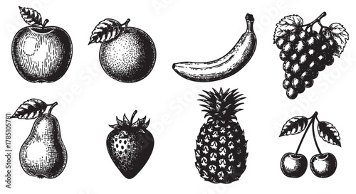 Black and white engraved-style illustrations of various fruits, including apple, orange, banana, grapes, pear, strawberry, pineapple, and cherries.