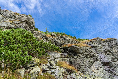 Fototapeta Naklejka Na Ścianę i Meble -  Western Tatras in September.