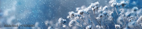 Frozen plants covering with snow falling in cold winter