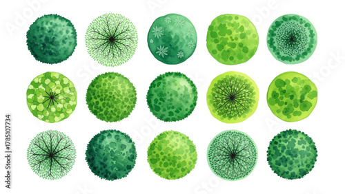 Vector illustration of collection of green trees from a top view on a white background
