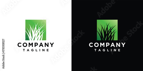 Natural Vector grass logo. Design templates for wild grass, artificial grass, field grass, lawn grass, wild grass.	