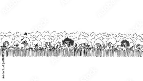 Vector illustration of stylized illustration of dense forest canopy with textured foliage on a white background