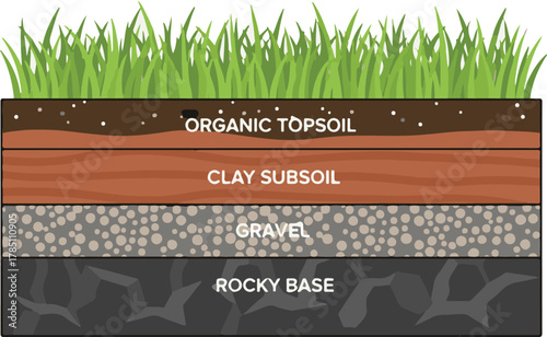 Soil Layers and Ground Cross Section with Grass, Topsoil, Subsoil, and Rock Foundation Vector Illustration, Earth Structure Diagram for Landscape, Geology, and Environmental Design