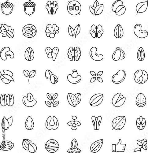 Organic Nuts, Seeds, and Bio Symbol Collection