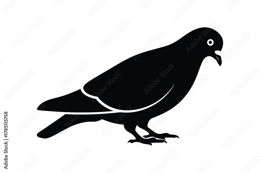 Fototapeta premium A pigeon silhouette vector art