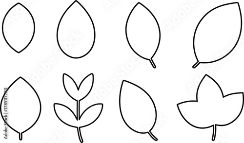  Collection of various leaf shapes for botanical study or design projects