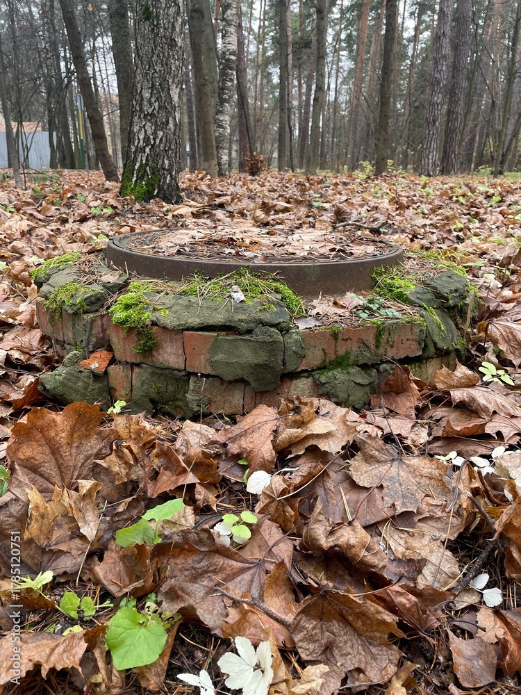 Obraz premium An old round metal manhole, partially hidden in the forest floor, is surrounded by colorful autumn leaves and green moss, indicating the process of nature's restoration.