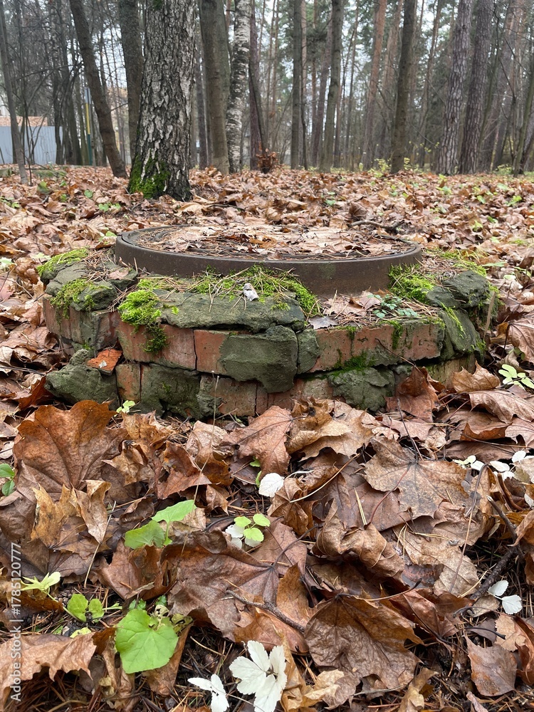 Obraz premium An old round metal manhole, partially hidden in the forest floor, is surrounded by colorful autumn leaves and green moss, indicating the process of nature's restoration.