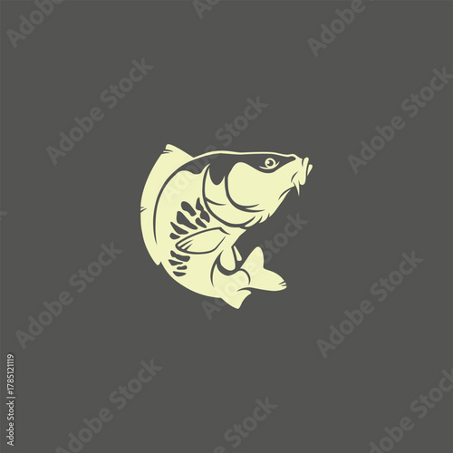 image mirror carp fish logo 
