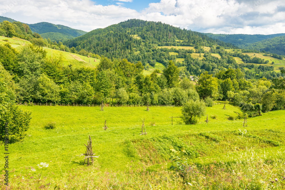Fototapeta premium countryside mountain landscape in summer. rural field and forest on the rolling hills of carpathians under cloudy sky. village in the valley. scenic view of alpine scenery on a sunny afternoon