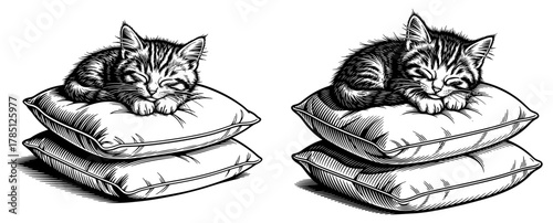 Charming ink drawing depicting a kitten sleeping peacefully on a stack of pillows, a cozy and heartwarming animal illustration