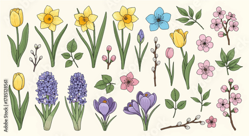 Collection of spring flowers and plants, including tulips, daffodils, hyacinths, crocuses, and cherry blossoms
