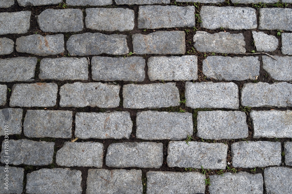 Fototapeta premium Cobblestones