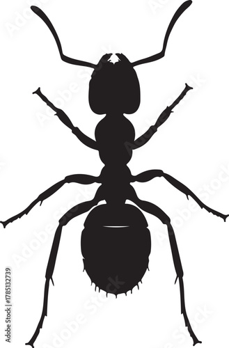 Black Silhouette of an Ant with Six Legs and Antennae on a White Background insect on transparent background