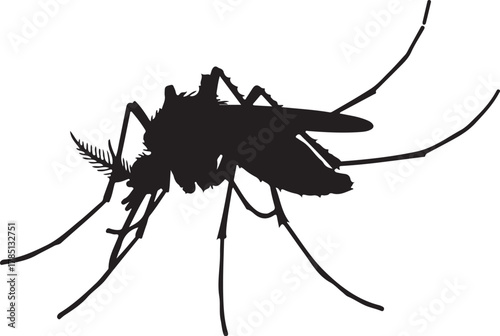 Black Silhouette of a Mosquito with Long Legs and Antennae on a White Background insect on transparent background