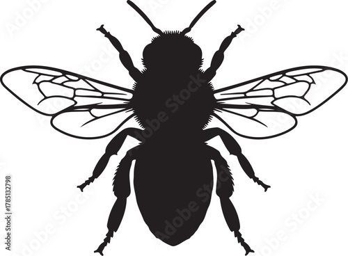 Black Silhouette of a Bee with Detailed Wings and Body on a White Background insect on transparent background