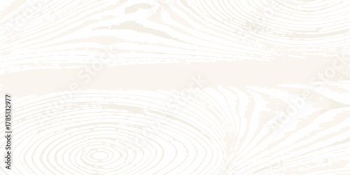 Abstract light beige wood grain texture with concentric rings and horizontal stripe