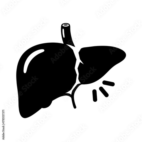 A black and white graphic illustration of a liver with some damage on a white background image view icon