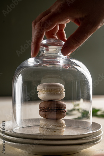 French macaroons cookies pastel colors 