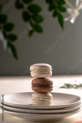 French macaroons cookies pastel colors 