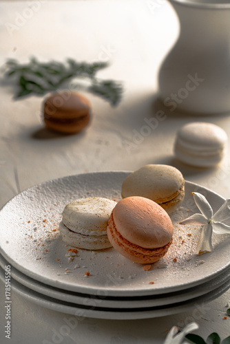 French macaroons cookies pastel colors 
