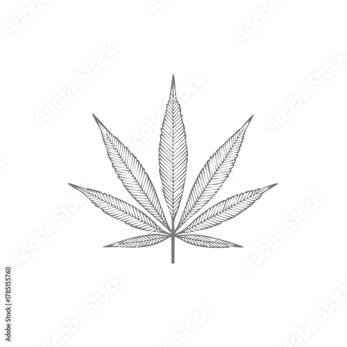 Detailed Hand Drawn Cannabis Leaf Illustration in Grey Line Art Style