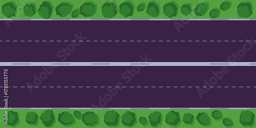 Aerial view of a road with road markings, two lanes, and shrubs on the sides.