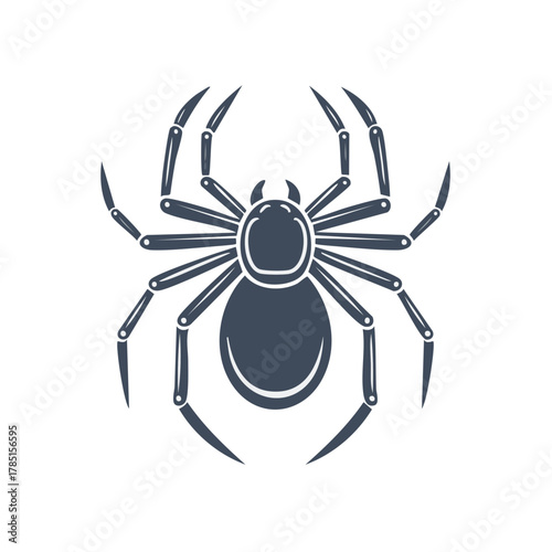 Isolated monochrome spider illustration with eight legs, detailed vector drawing of arachnid