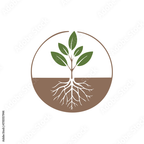 Vibrant green seedling with visible roots in rich brown soil representing growth and nature