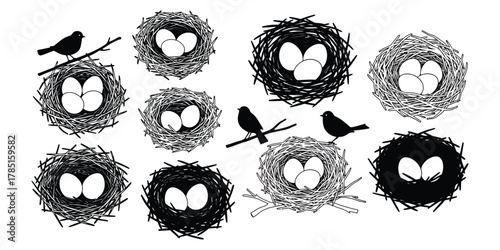 Bird Nests with Eggs Vector Illustration spring nature animal wildlife branch silhouette design graphic drawing isolated white black