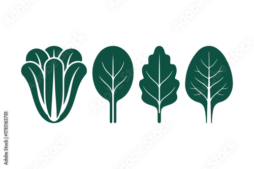 Green leafy vegetables icons: spinach, lettuce, and kale stylized collection