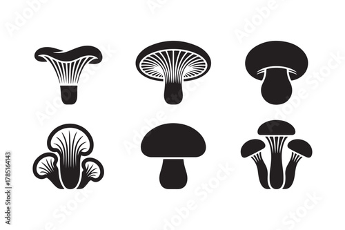 Diverse mushroom fungi silhouette icons collection for nature and food concepts