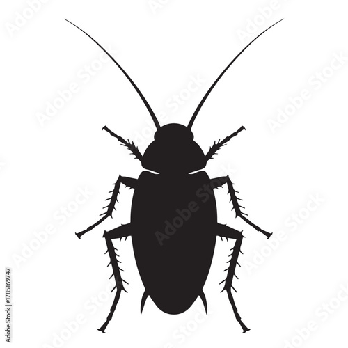 Silhouette of a cockroach isolated on white background with long antennae