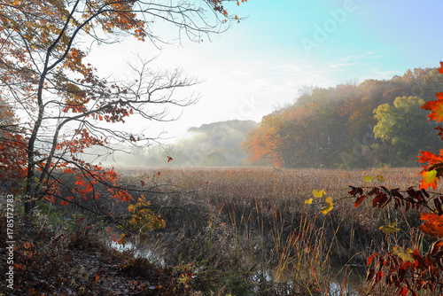 Creek flowing through a misty wetland at dawn in autumn