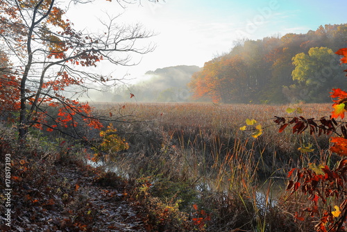 Creek flowing through a misty wetland at dawn in autumn