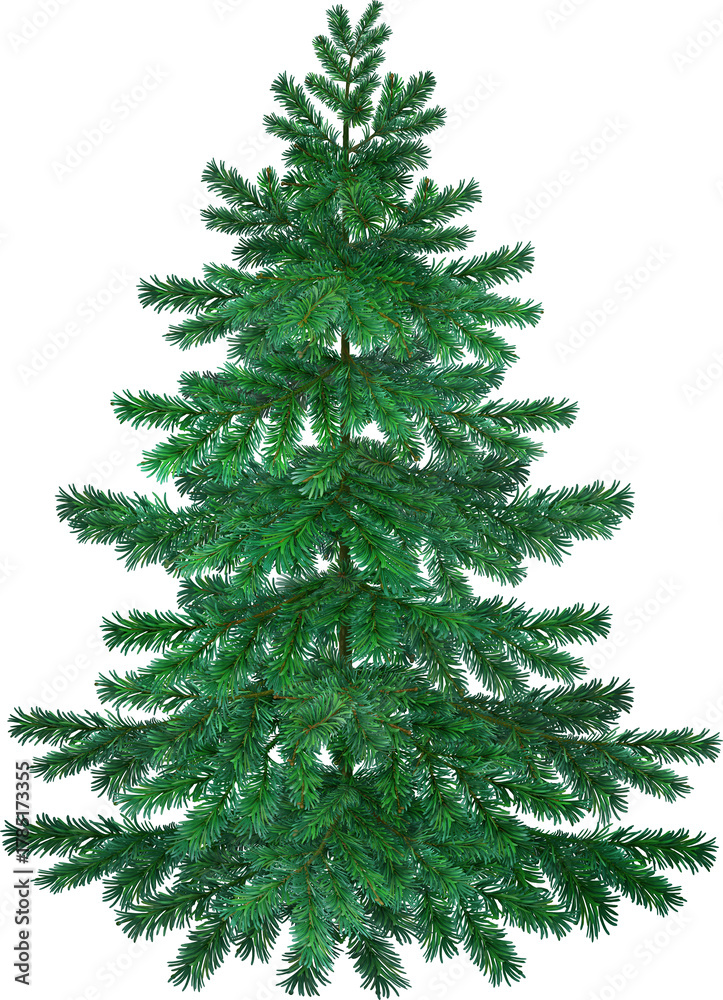 Obraz premium Illustration of a coniferous fir tree for a Christmas tree