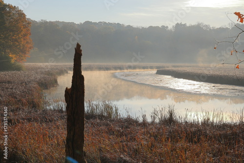 Creek flowing through a misty wetland at dawn in autumn