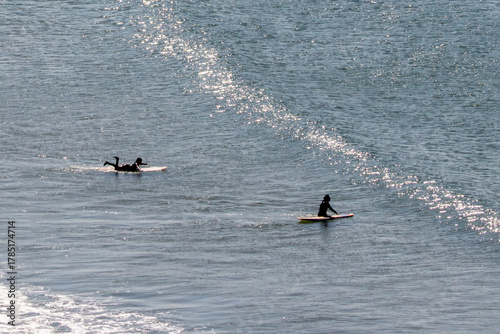 Surfers paddling in sunlight on gentle ocean waves